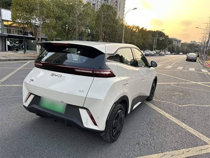 Фото 8 - BYD Seagull