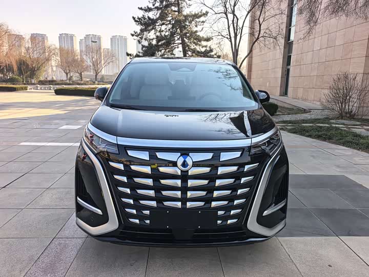 Фото 1 - Denza D9