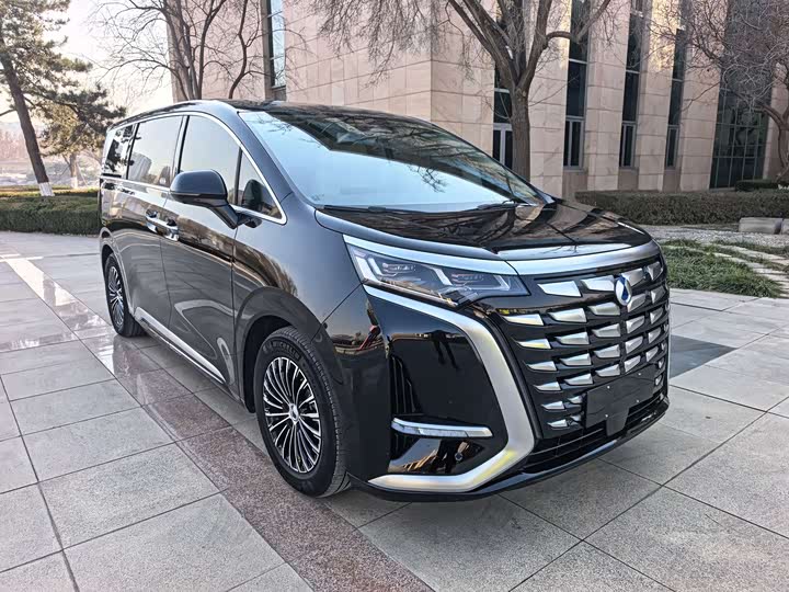 Фото 2 - Denza D9