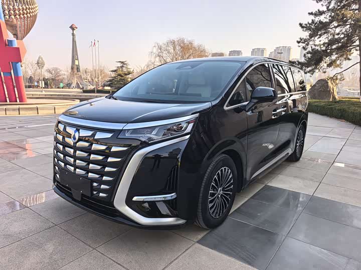 Фото 3 - Denza D9