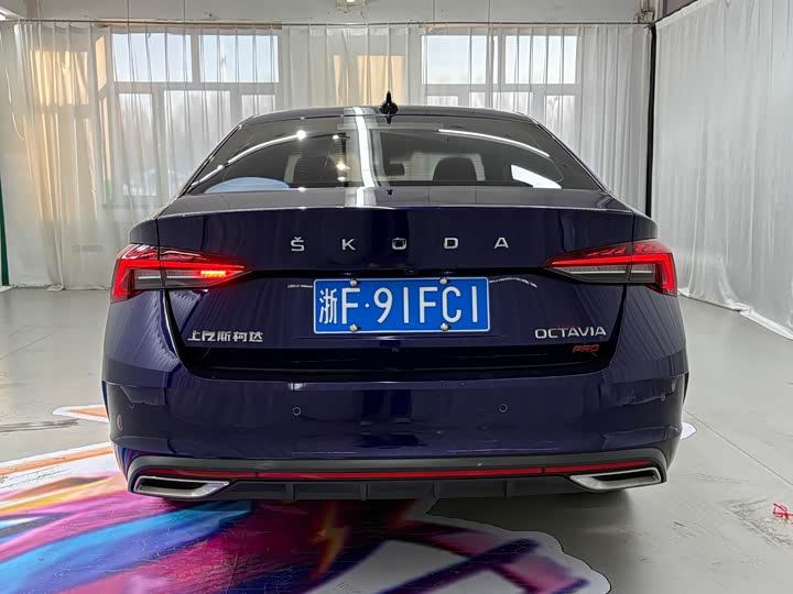 Фото 5 - Skoda Octavia Pro