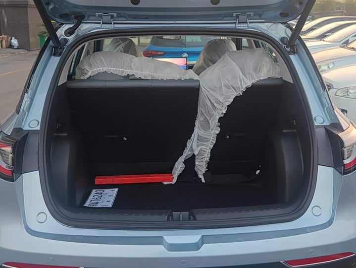 Фото 4 - Geely Galaxy Geome