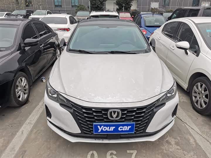 Фото 2 - Changan Raeton CC