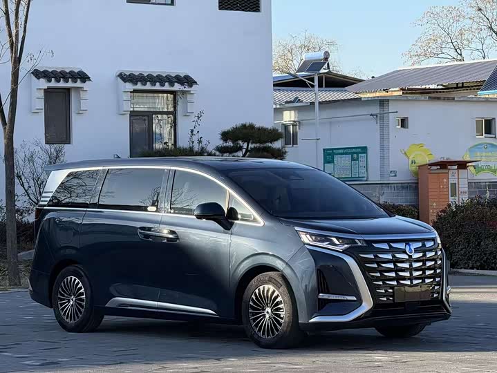 Фото 2 - Denza D9