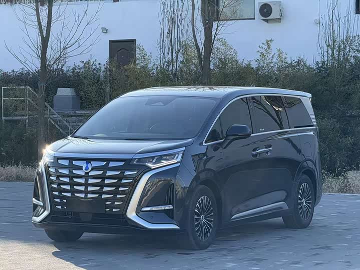 Фото 3 - Denza D9