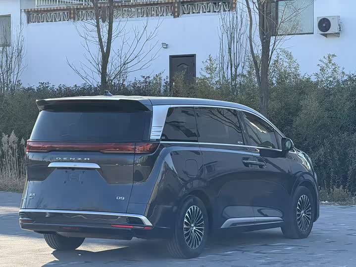 Фото 4 - Denza D9