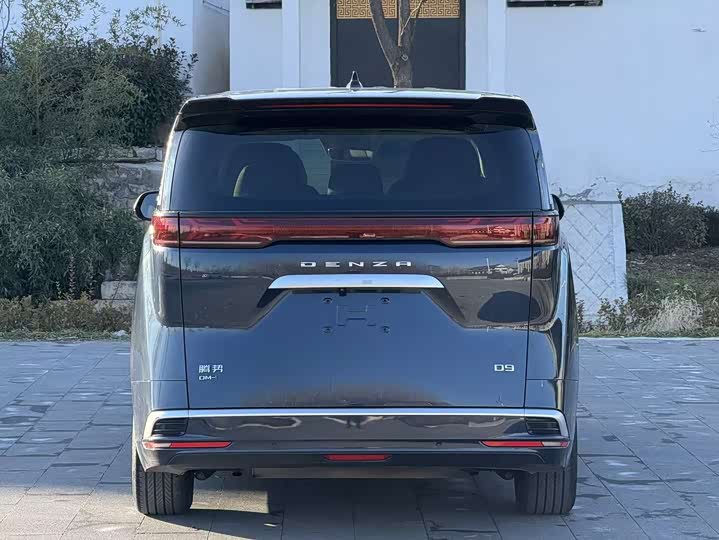 Фото 5 - Denza D9