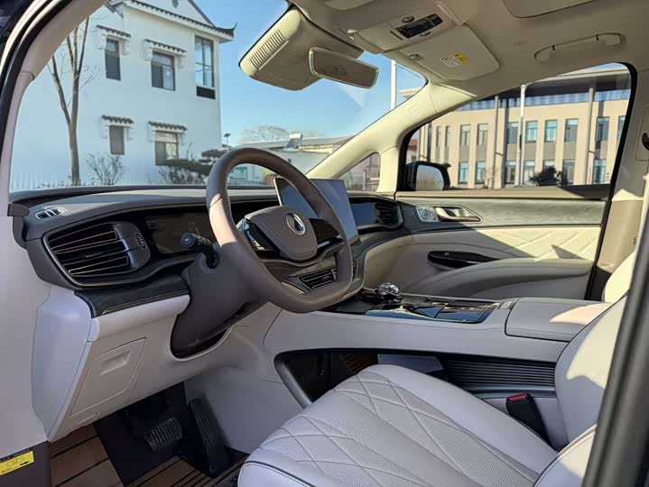 Фото 6 - Denza D9