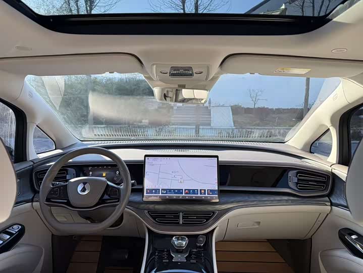 Фото 7 - Denza D9