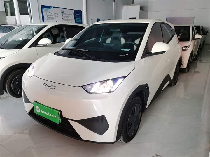 Фото 2 - BYD Seagull