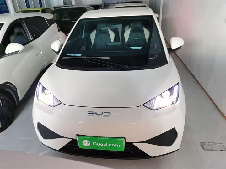 Фото 3 - BYD Seagull