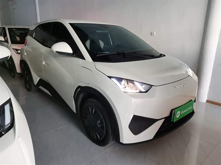 Фото 4 - BYD Seagull