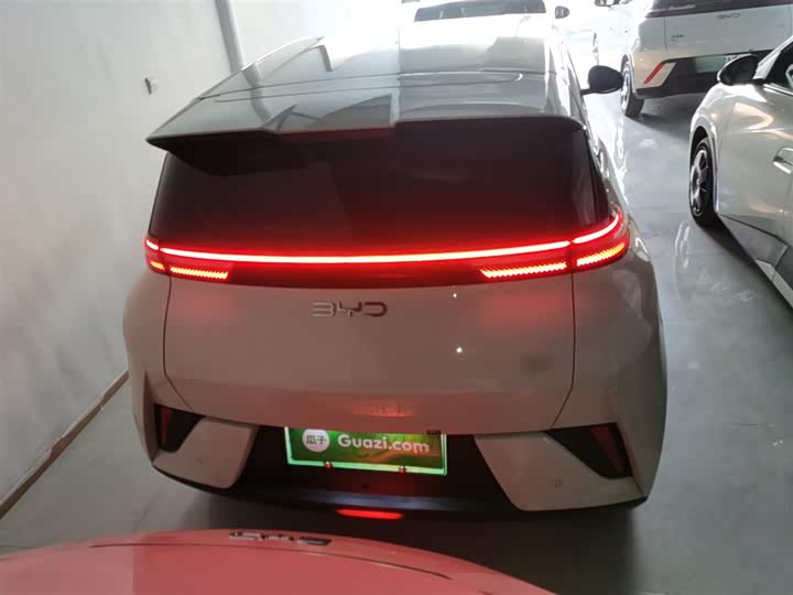 Фото 6 - BYD Seagull