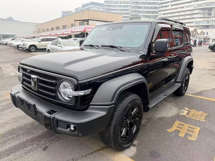 Фото 1 - Tank 300