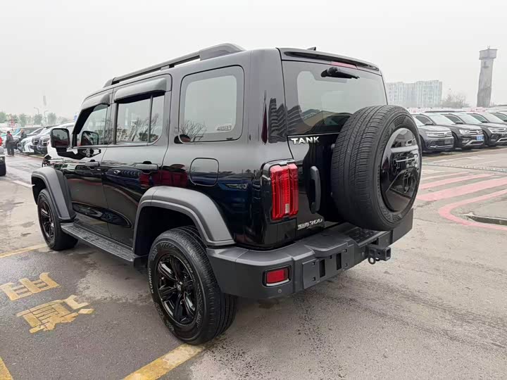 Фото 4 - Tank 300