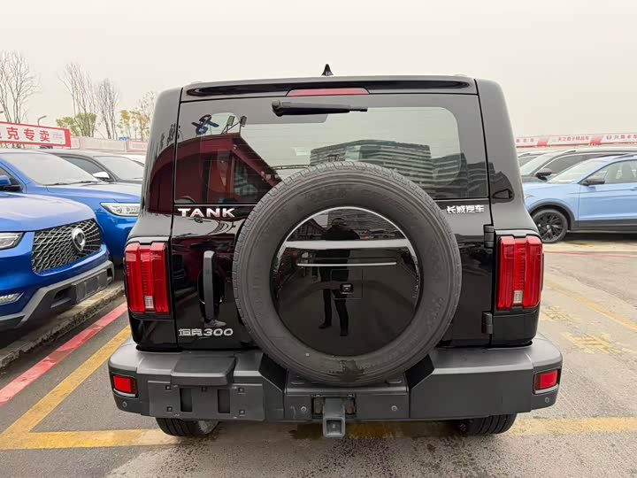 Фото 5 - Tank 300