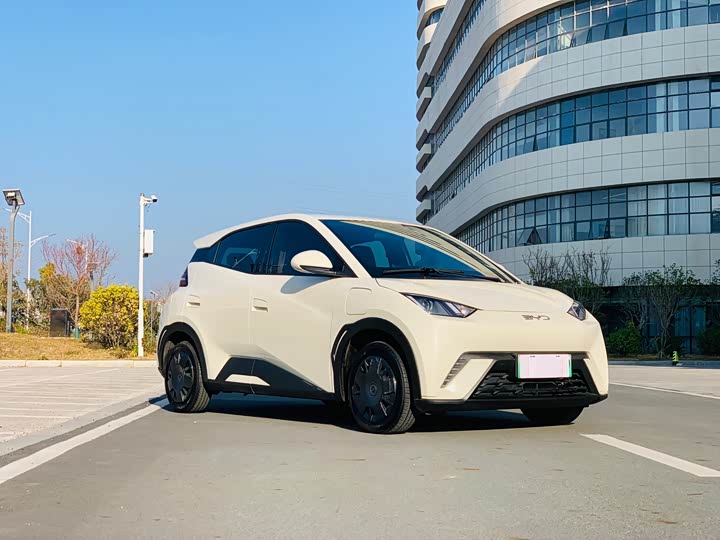 Фото 2 - BYD Seagull