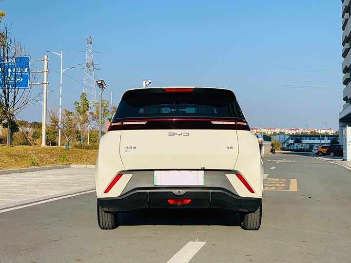 Фото 4 - BYD Seagull