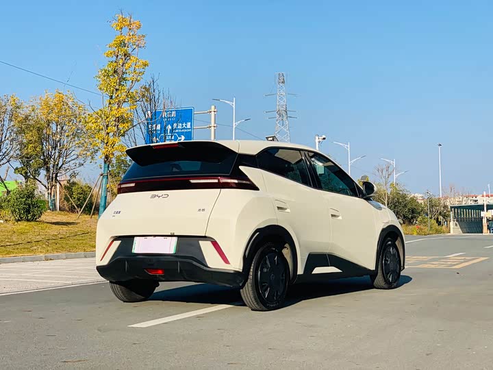 Фото 5 - BYD Seagull