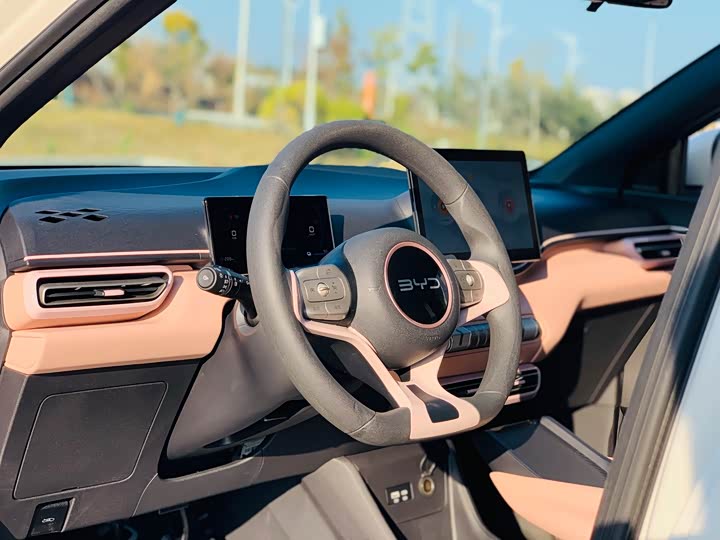 Фото 9 - BYD Seagull