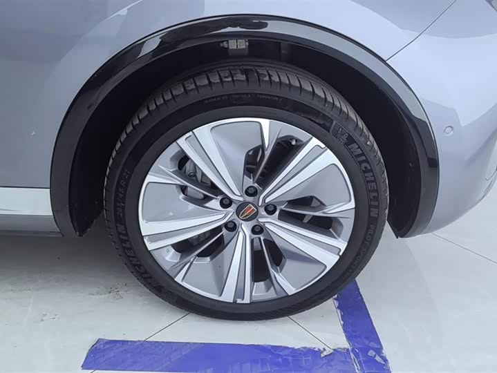 Фото 6 - Hongqi E-HS9