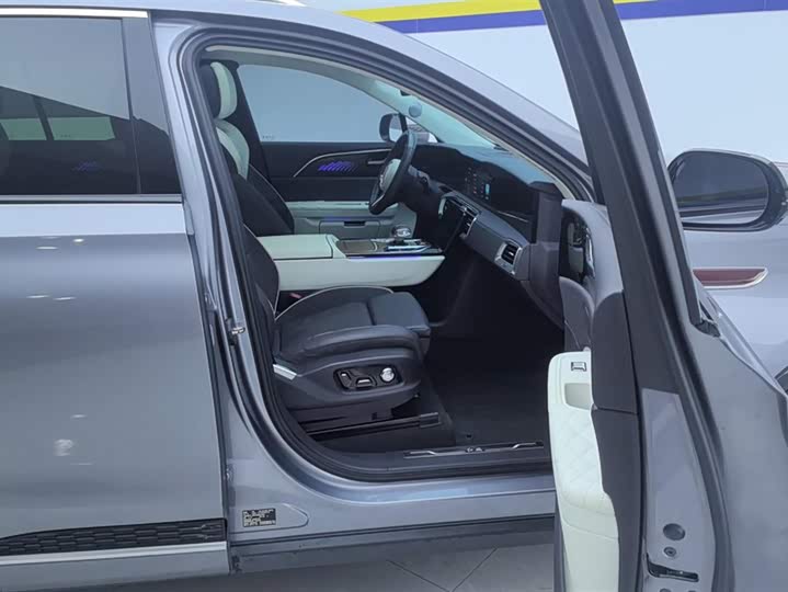 Фото 8 - Hongqi E-HS9