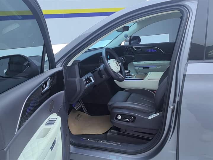 Фото 9 - Hongqi E-HS9