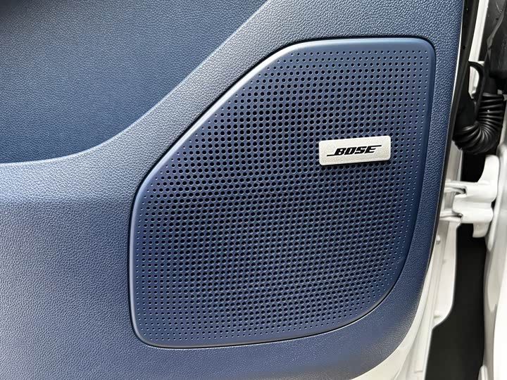 Фото 5 - Buick GL8 Century