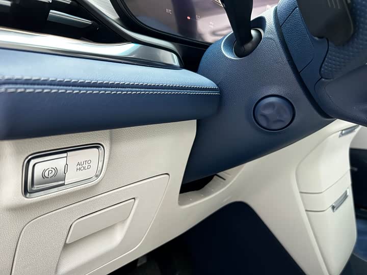 Фото 9 - Buick GL8 Century