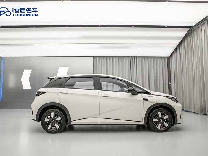 Фото 3 - BYD Dolphin