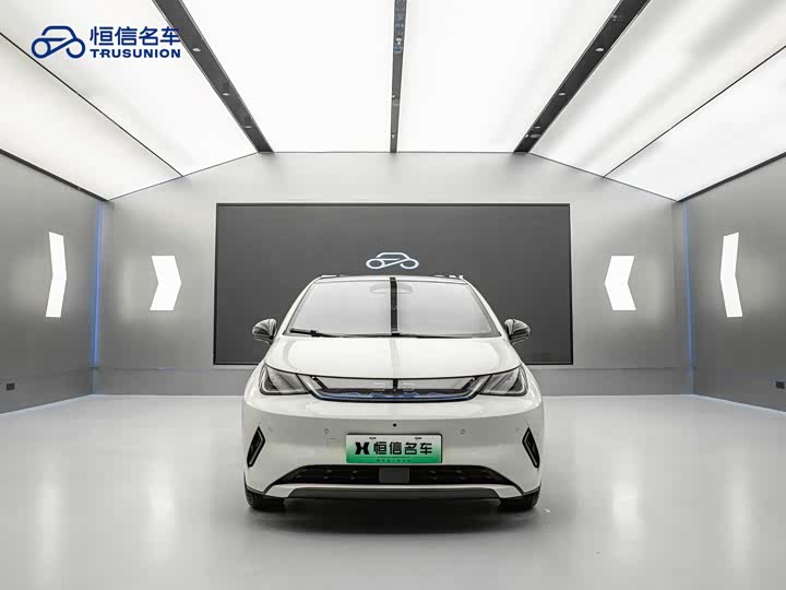 Фото 4 - BYD Dolphin