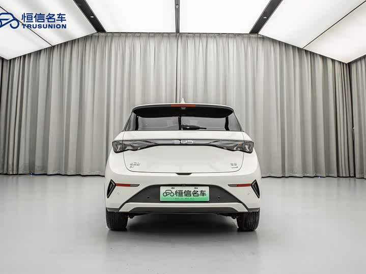 Фото 5 - BYD Dolphin