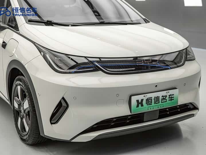 Фото 9 - BYD Dolphin