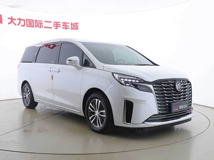 Фото 3 - Buick GL8 ES