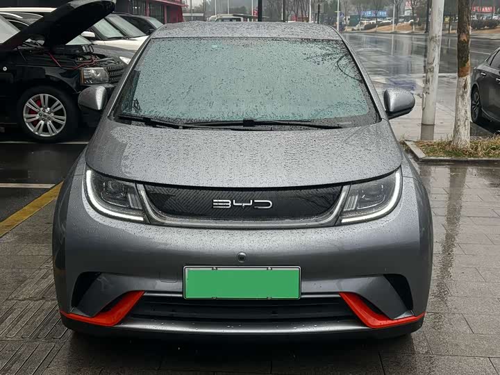 Фото 2 - BYD Dolphin