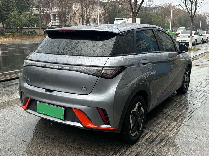 Фото 3 - BYD Dolphin