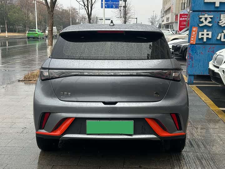 Фото 4 - BYD Dolphin