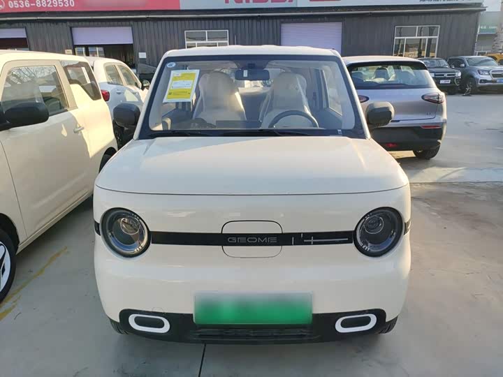 Фото 3 - Geely Galaxy Panda Mini