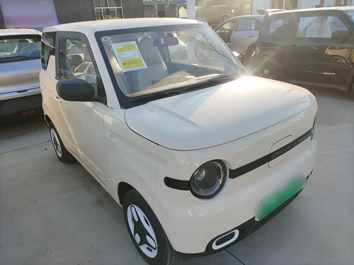 Фото 4 - Geely Galaxy Panda Mini