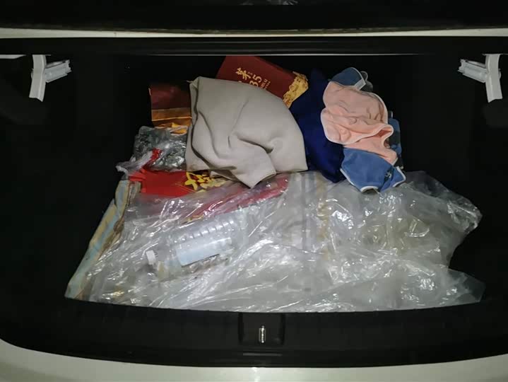 Фото 4 - BYD Qin Plus