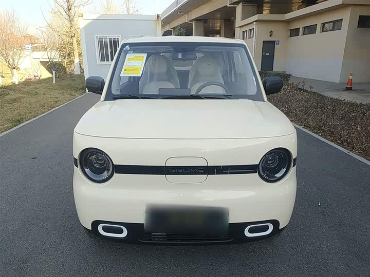 Фото 3 - Geely Galaxy Panda Mini