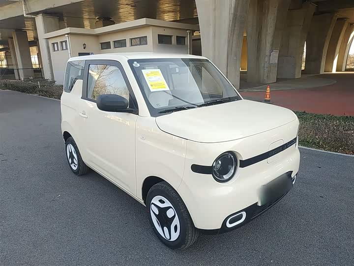 Фото 4 - Geely Galaxy Panda Mini