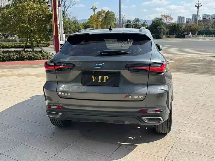 Фото 8 - Changan Oshan X5