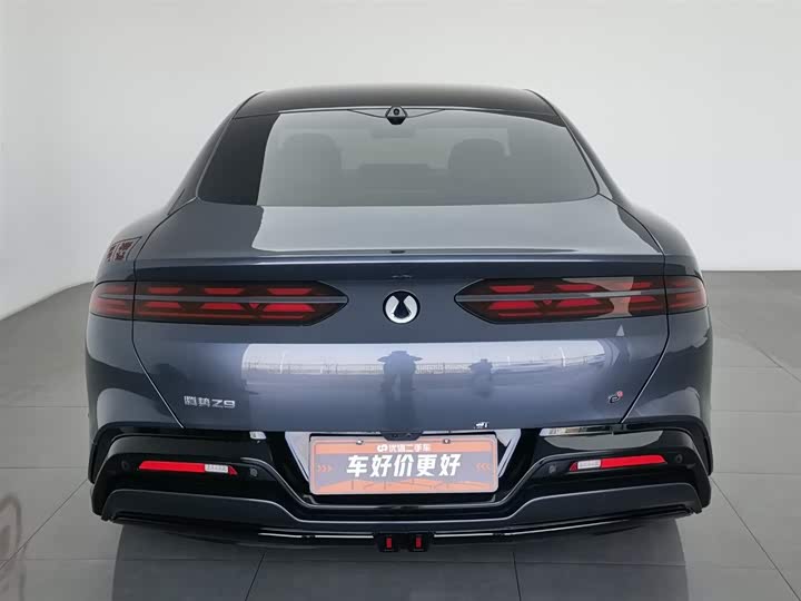 Фото 4 - Denza Z9