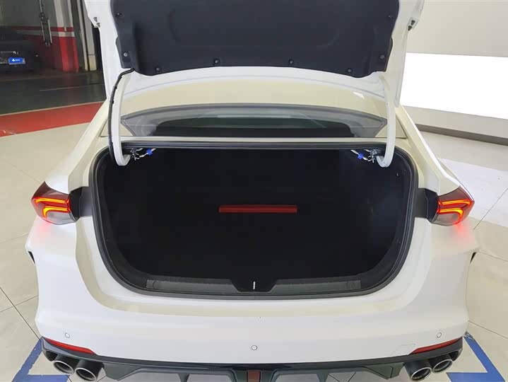 Фото 4 - GAC Trumpchi Empow R