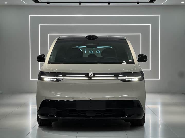 Фото 2 - Zeekr Mix