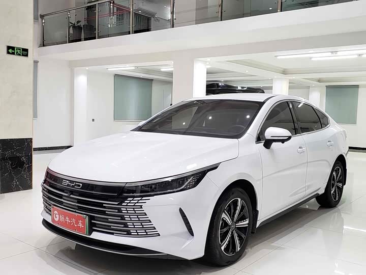 Фото 1 - BYD Destroyer 05