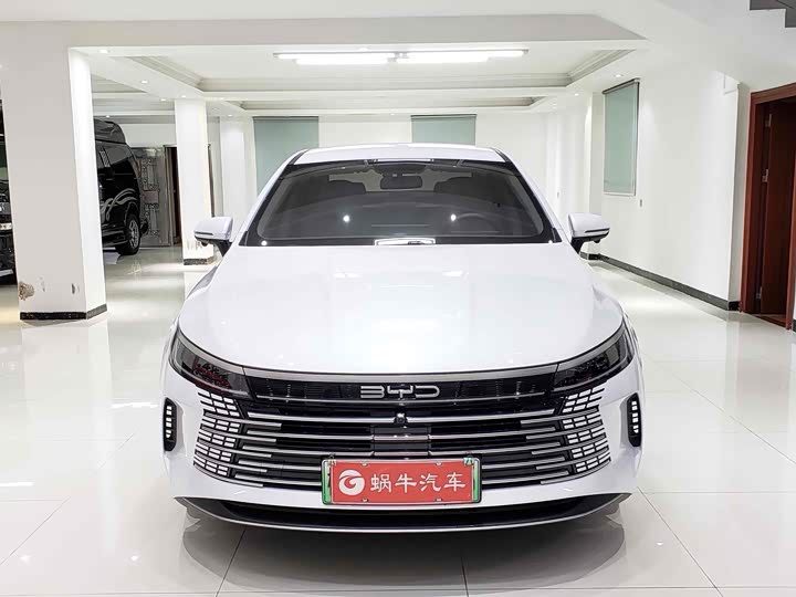 Фото 2 - BYD Destroyer 05