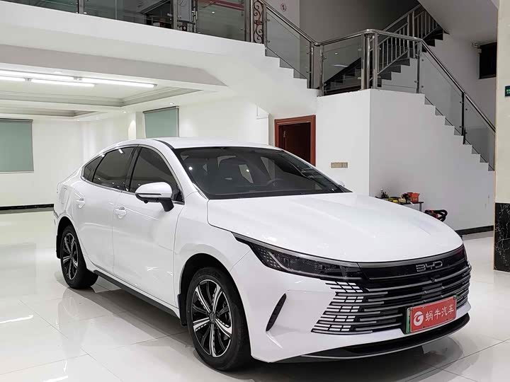 Фото 3 - BYD Destroyer 05