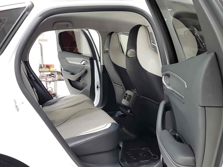 Фото 9 - BYD Destroyer 05